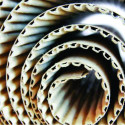  industrial adhesives