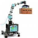 Collaborative arm 